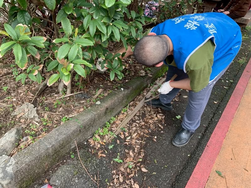 為了生存_他們努力地在想辦法(標題圖檔)